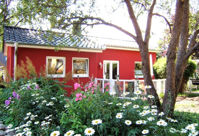 Ferienhäuschen Rose