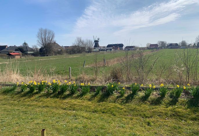 Bild 12