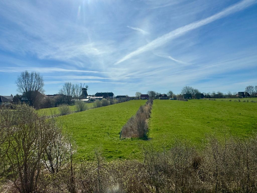 Ausblick auf die Mühle