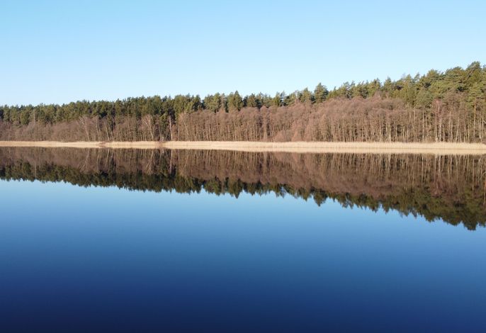 Bild 15