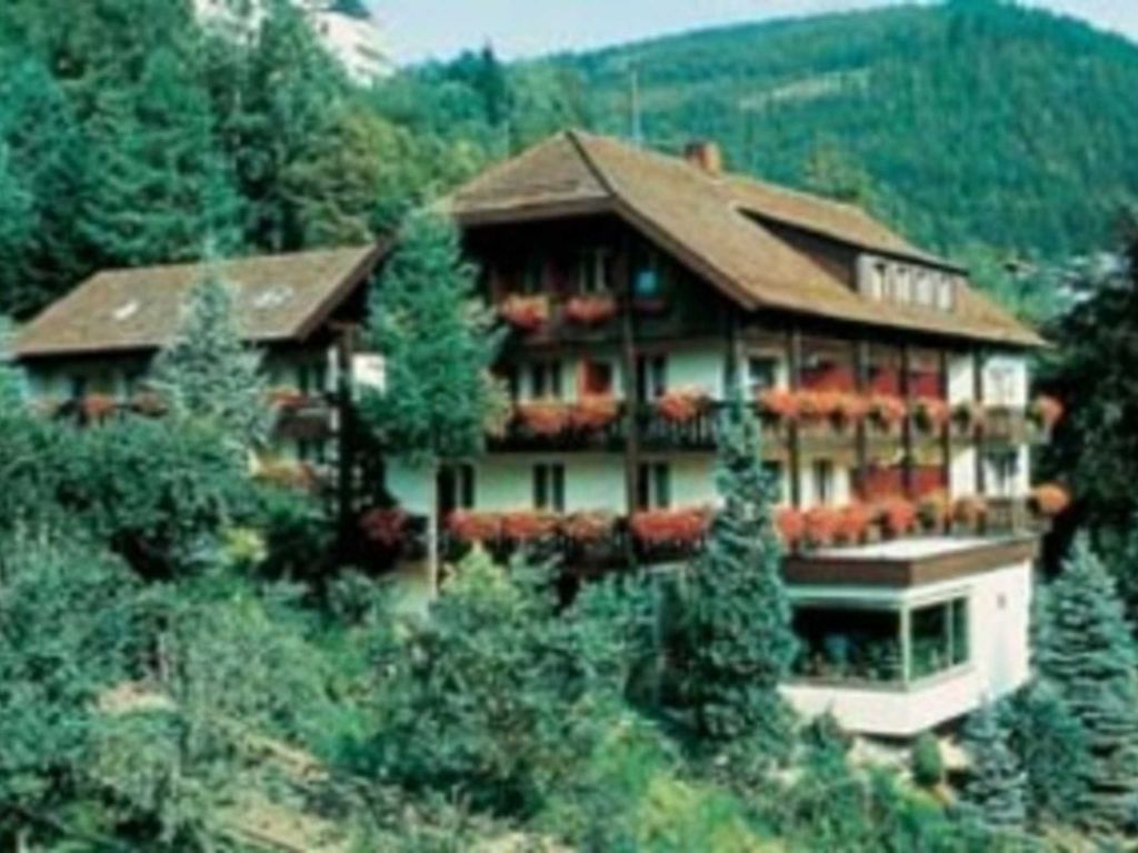 Hotels *** in