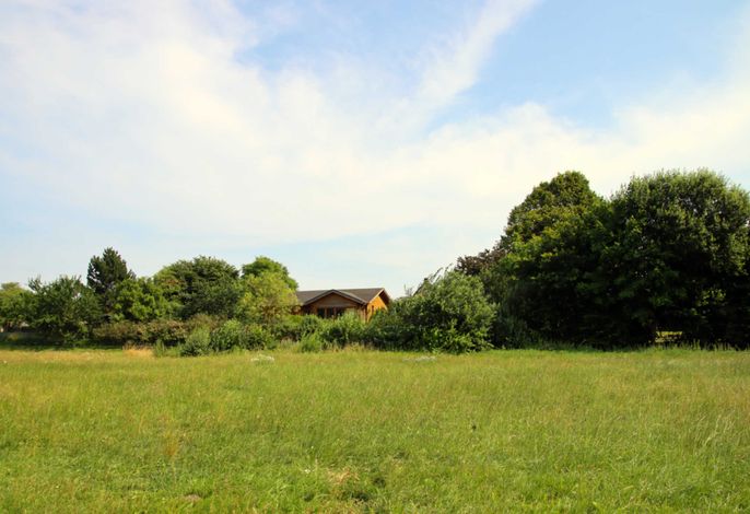 Ferienhaus an der Wiese