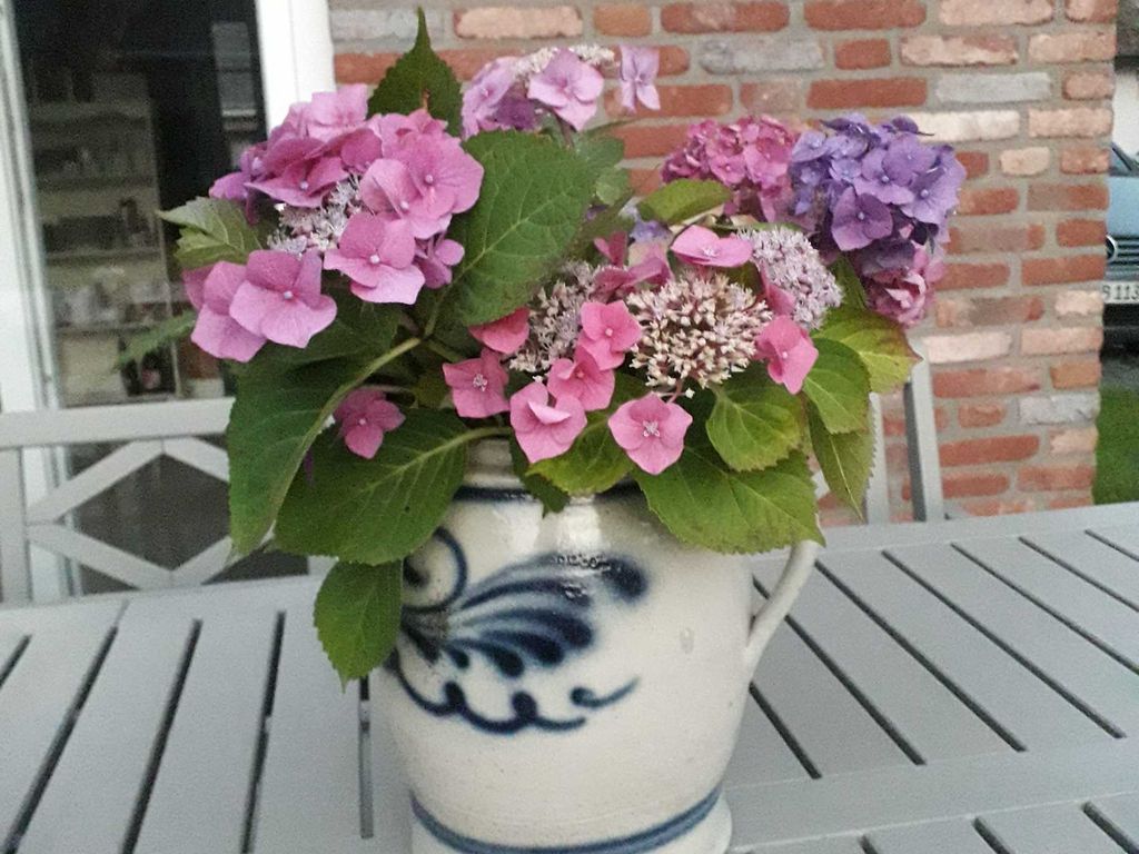 Haus Josefine