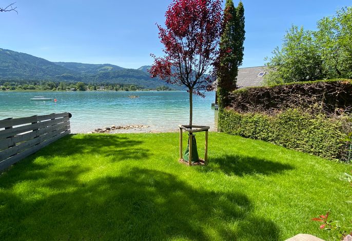 Bild 19