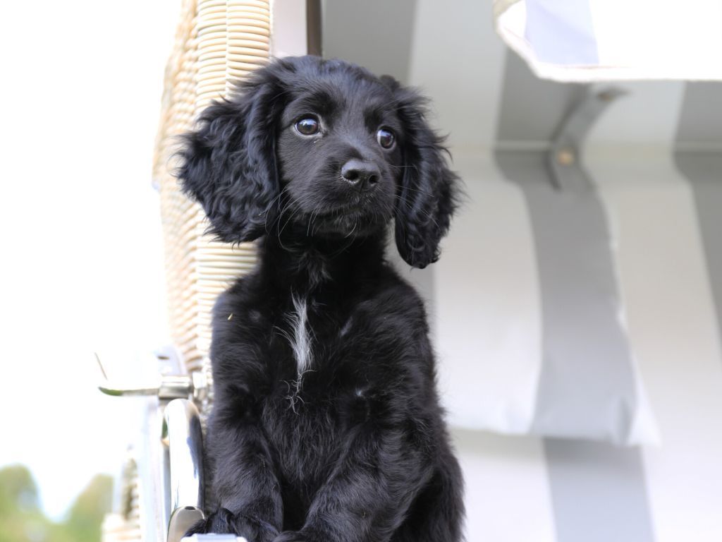 Barkley Reethaus - Ihre ganze Familie ist Herzlich Willkommen!