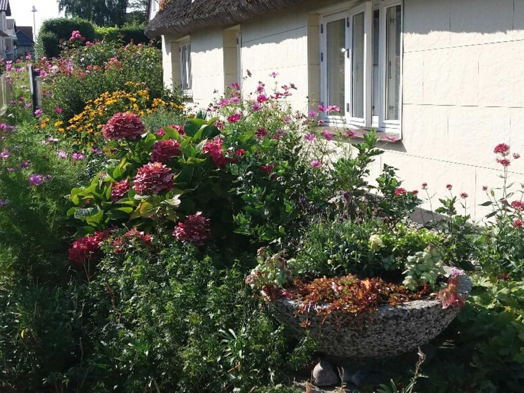 sommerlicher Gruß aus unserem Fischerhus Garten