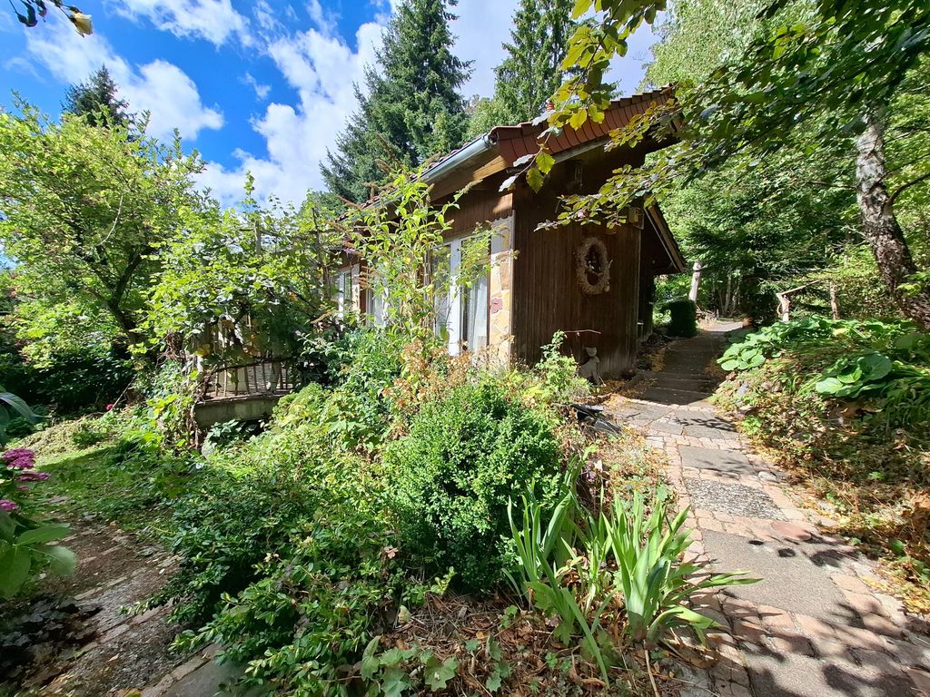 Haus Irina mit hinterem Garten