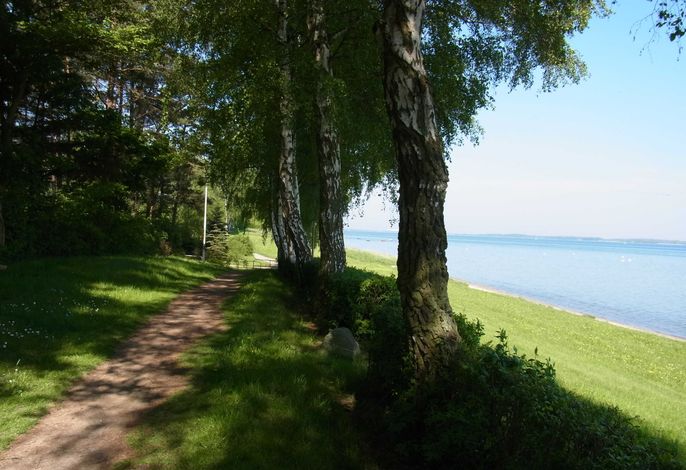 Bild 9