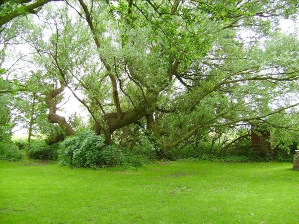 Garten bei der Pension