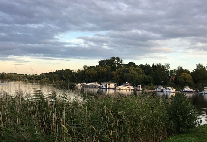 Bild 12