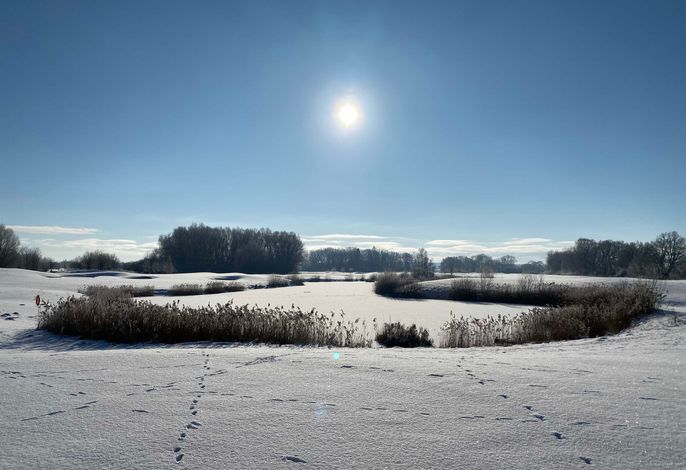 Bild 19