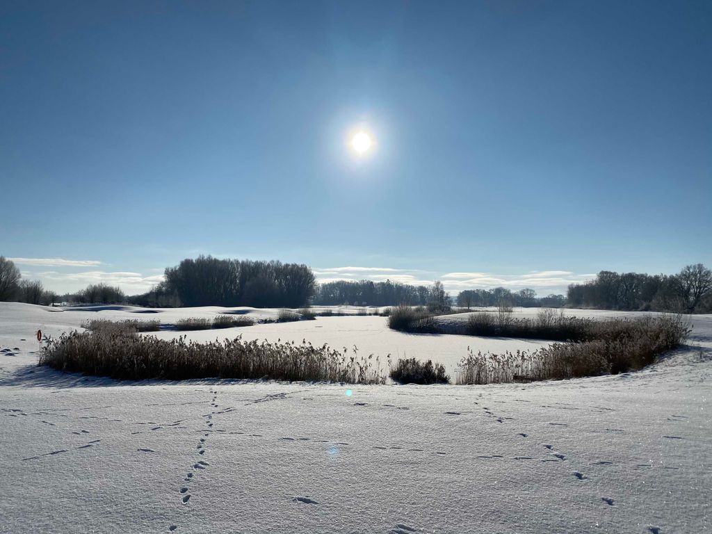 Golfplatz im Winter