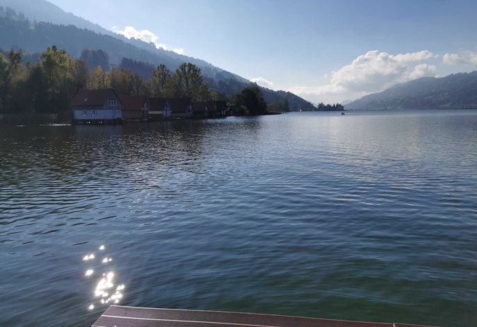 Bild 36
