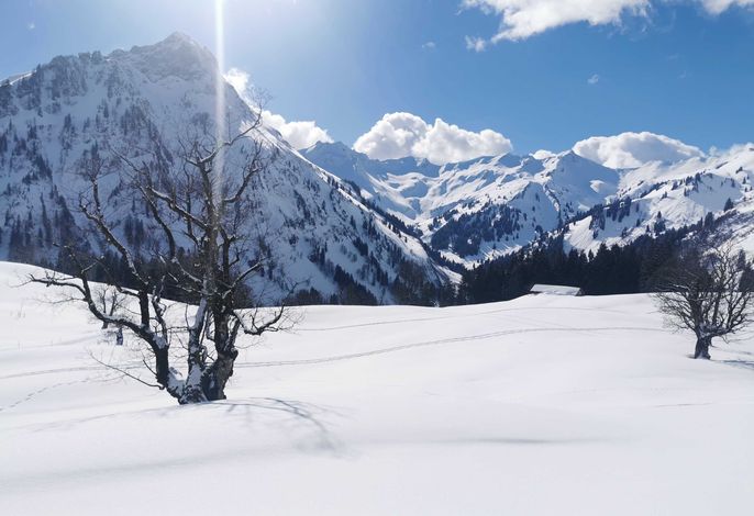 Bild 14