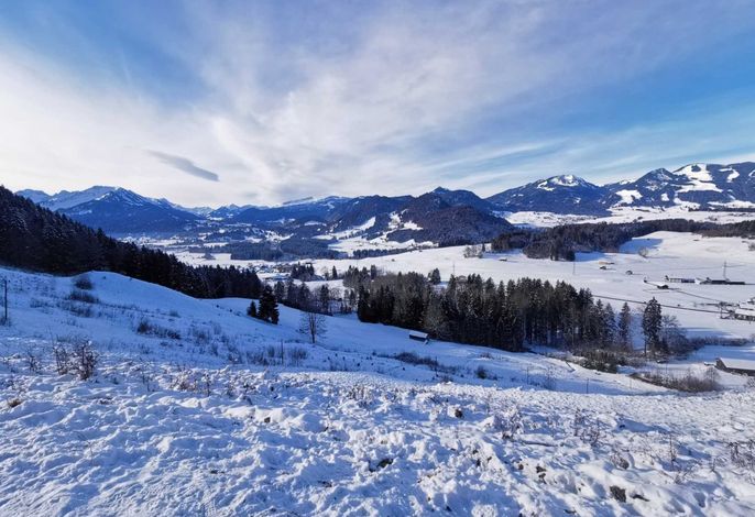 Bild 12