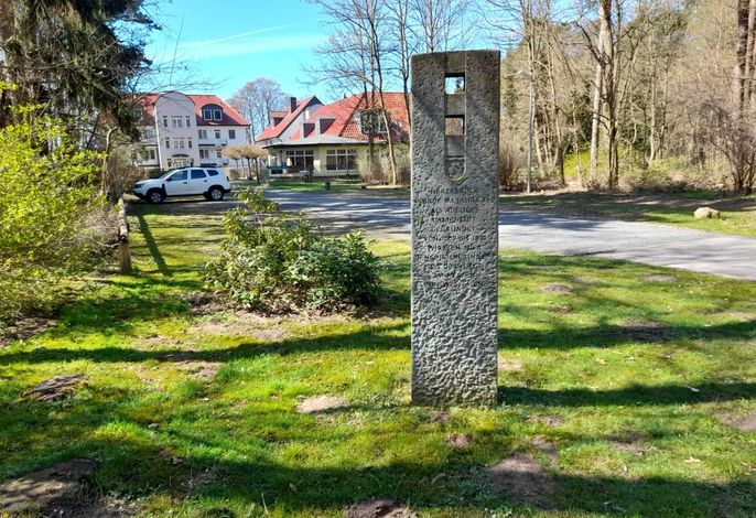 Bild 19