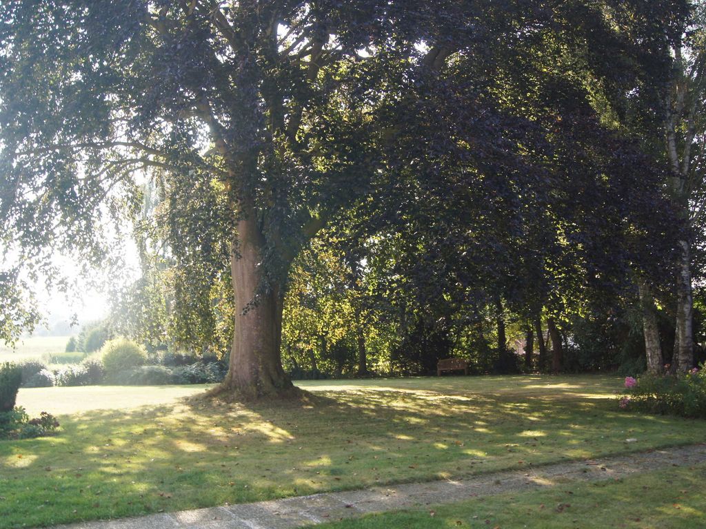 Sitzbänke im Garten