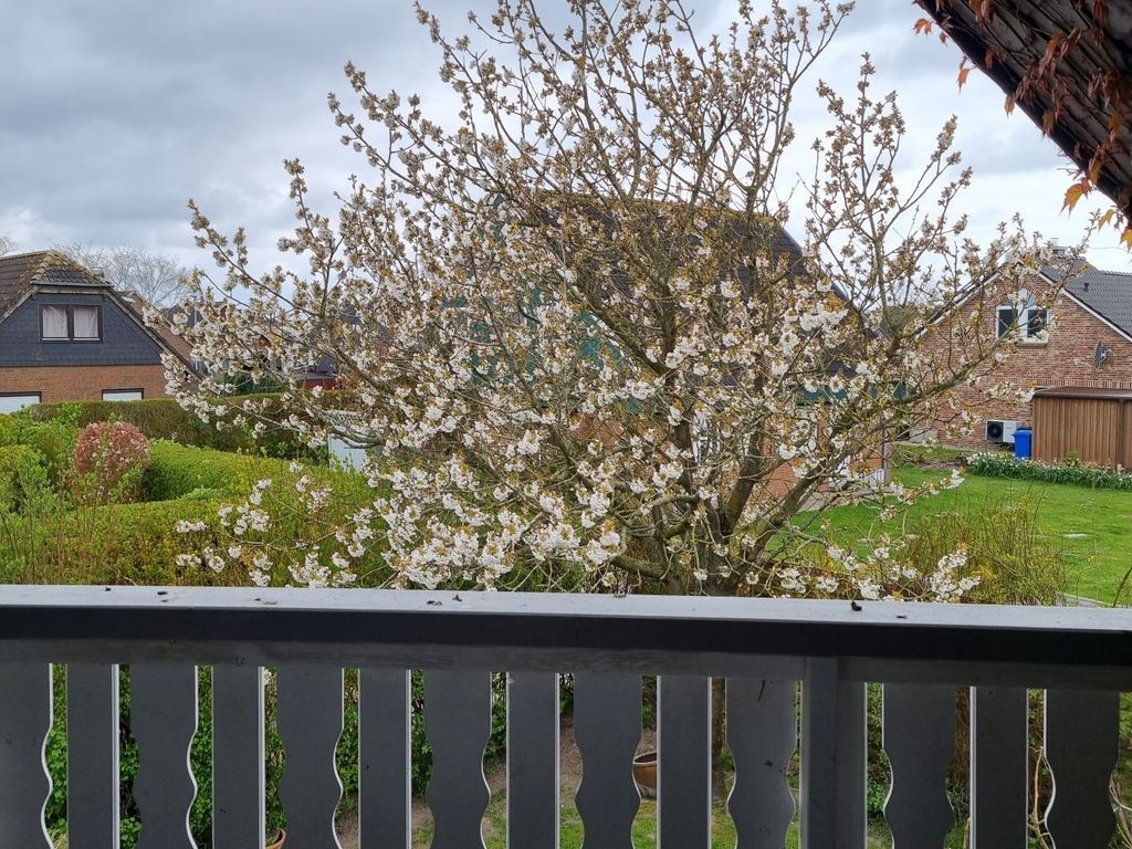 Ausblick