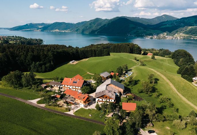 Ferienwohnung Panorama