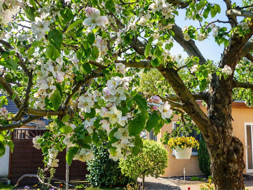Bungalow mit Gartenblick auf dem Grundstück der Gastgeber