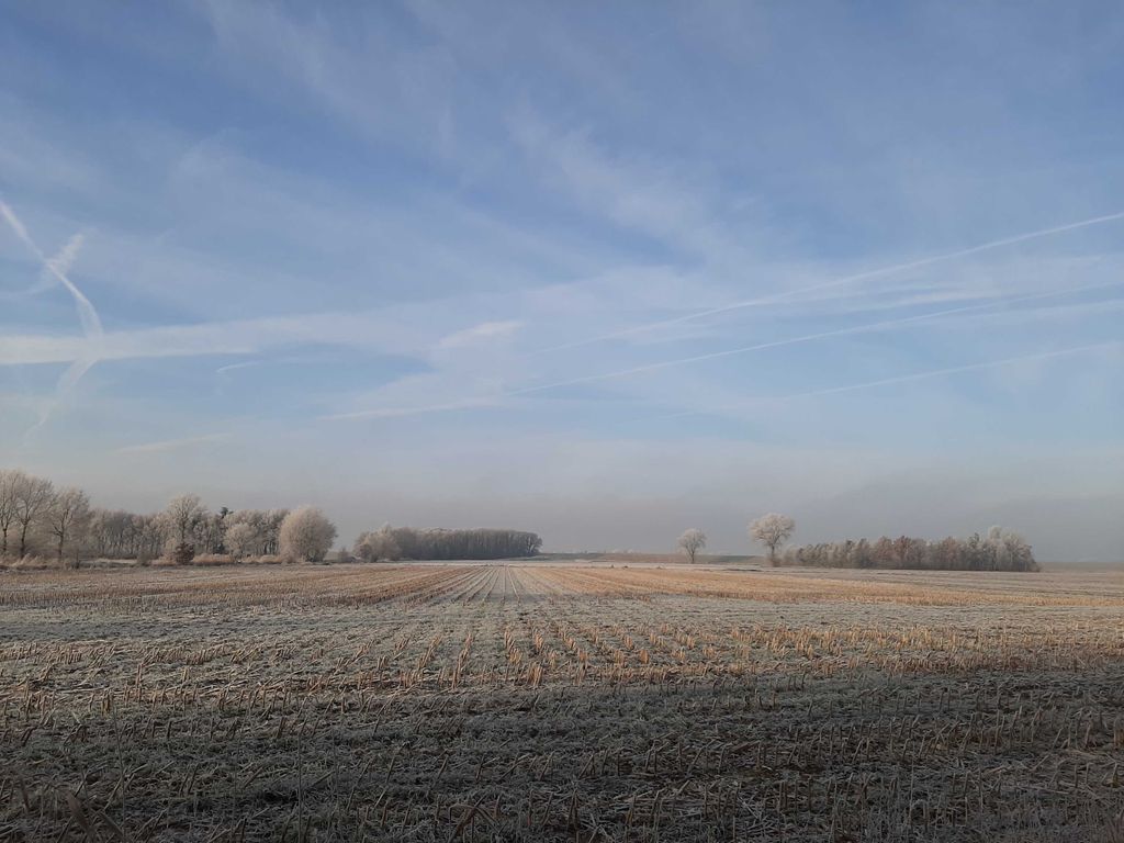 Blick zum Deich