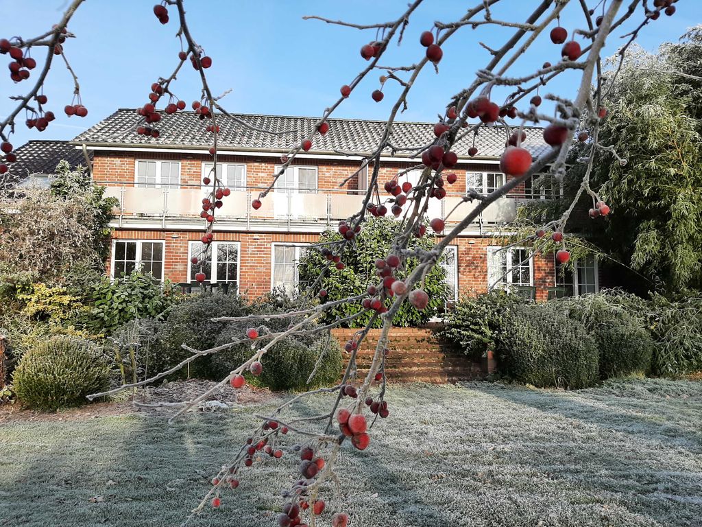 Hof Stellerbruch im Winter