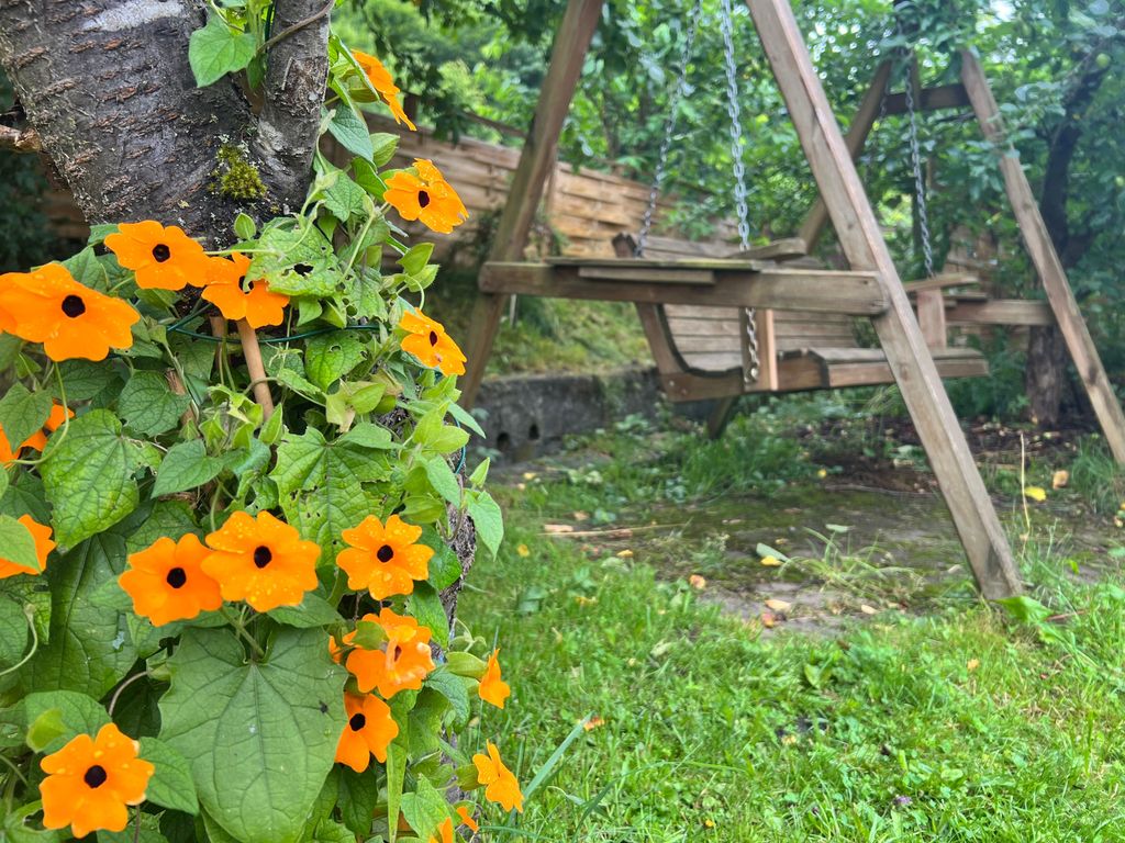 Sitzschaukel im Garten