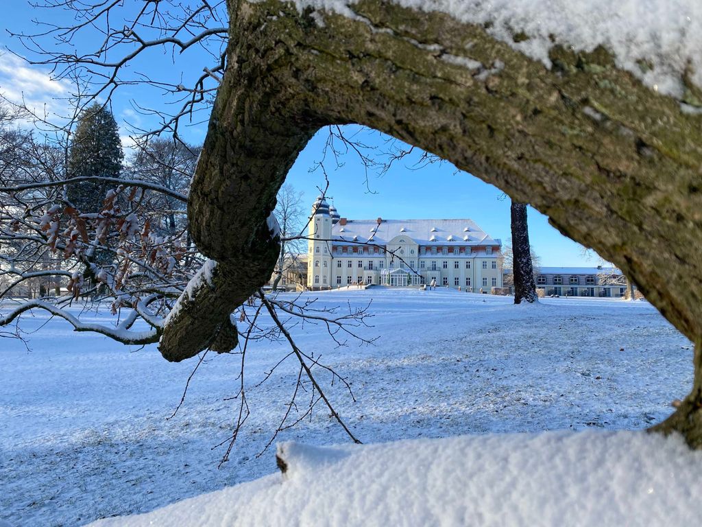 Schlosspark im Winter