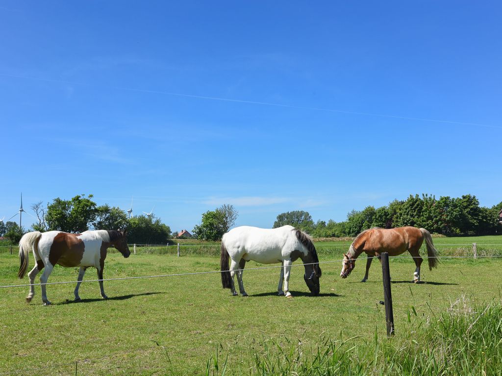 Reiten auf dem Ferienhof Gerdes