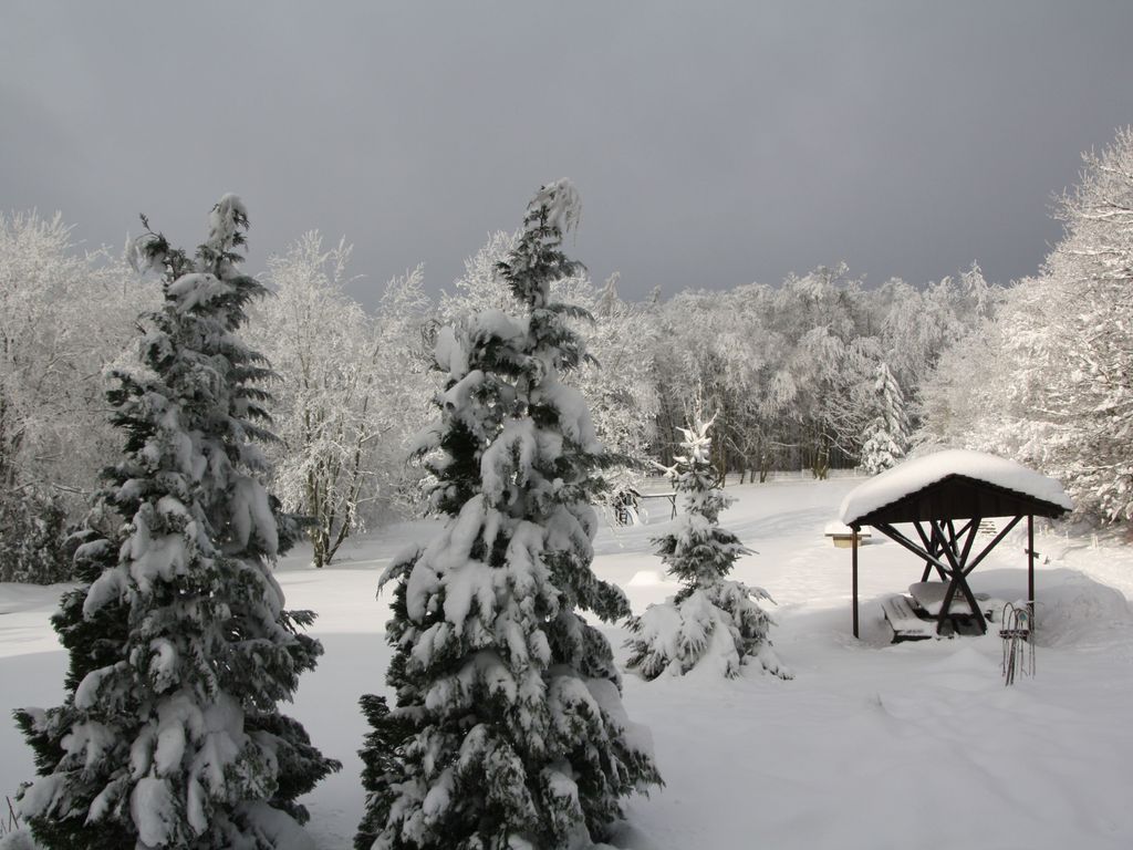 Garten im Winter
