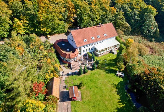 Bild 7