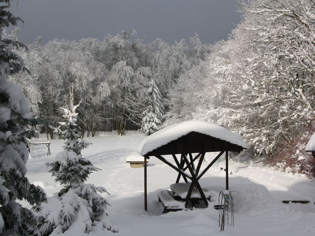 Garten im Winter