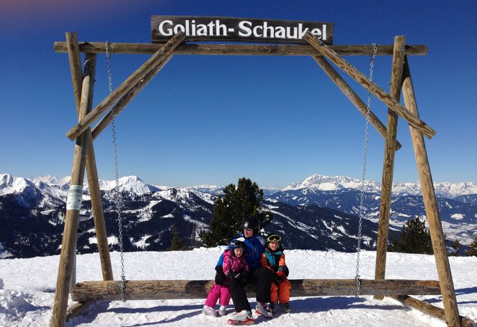 Bild 12