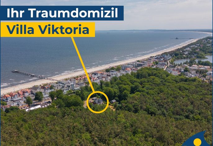 Viktoria 02 Bild 4