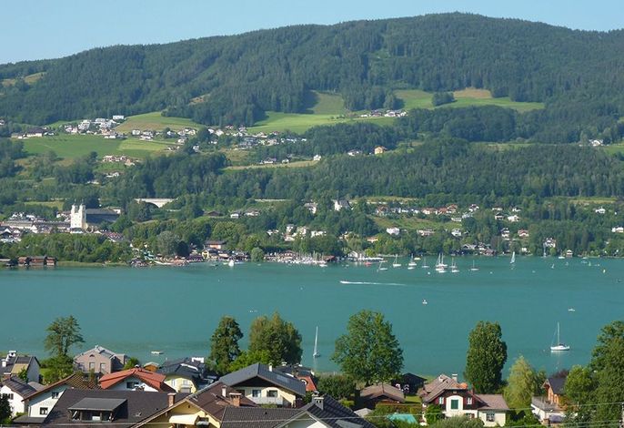 Ferienwohnung Schwarzindien - Gassner – Foto 2
