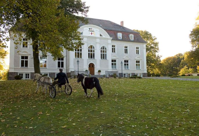 Bild 16
