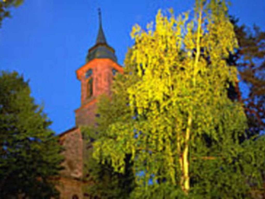 ** / **S Hotels