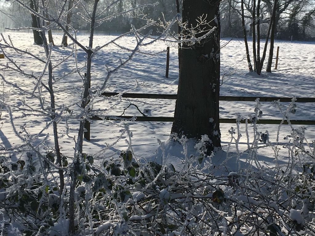 Spaziergänge im Winter