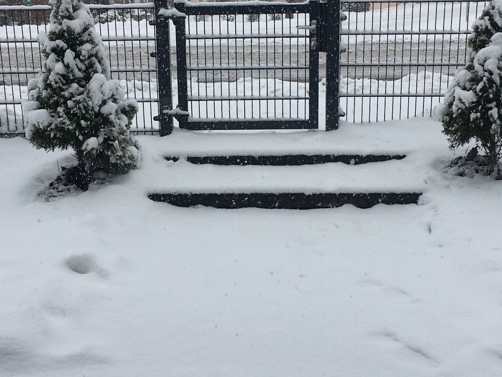 Das ist der Blick zur Straße, vor der Haustür