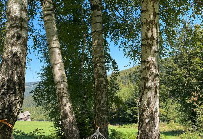 Bild 16