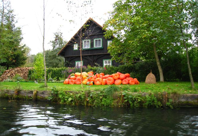 Ferienwohnungen Spreewaldpension Petrick