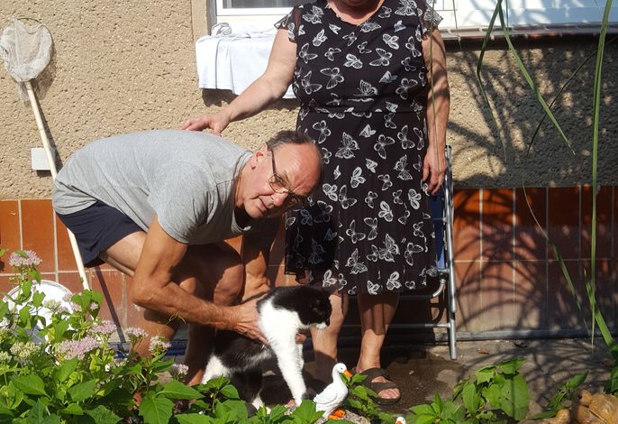 Bild 27