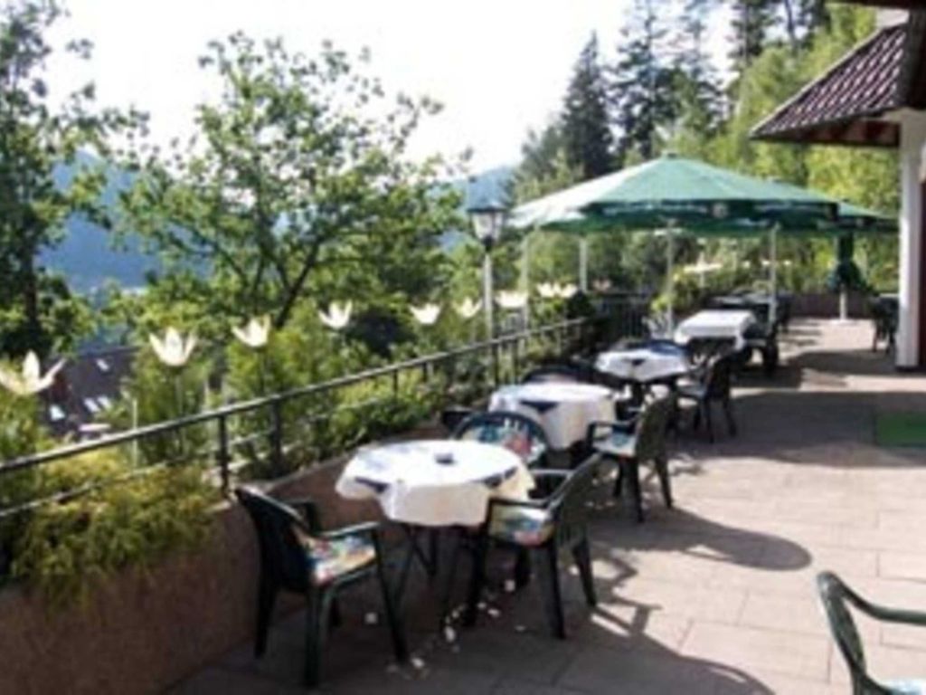 Hotels in