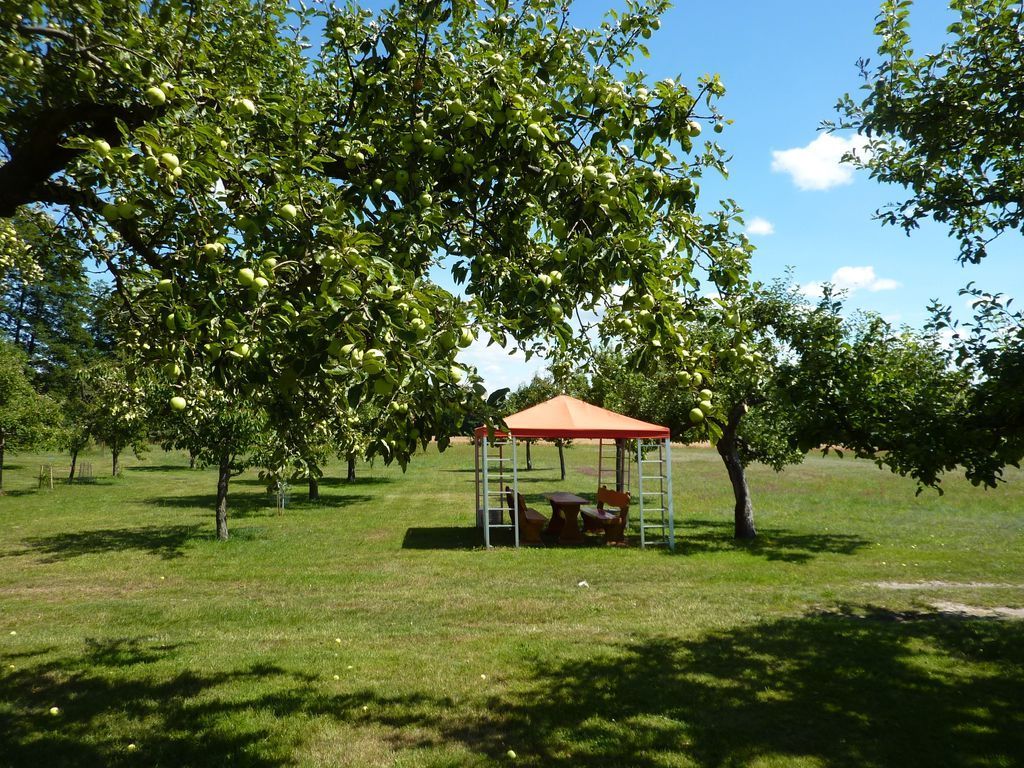 Garten mit Streuobstwiese