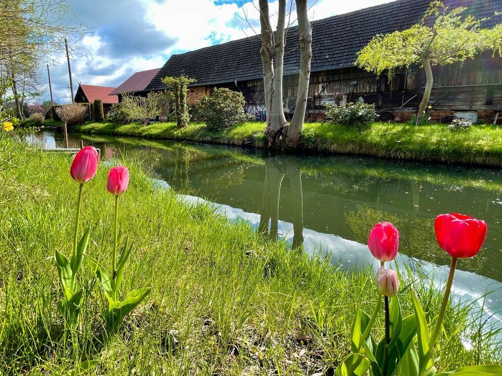 Am Scheidungsfleiß