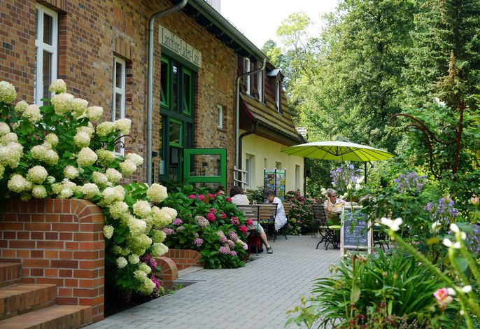 Grüner Wald Spreewald-Apartments