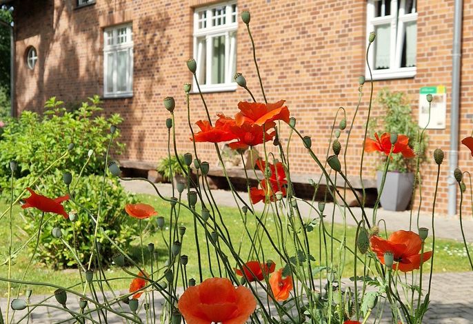 Grüner Wald Spreewald-Apartments
