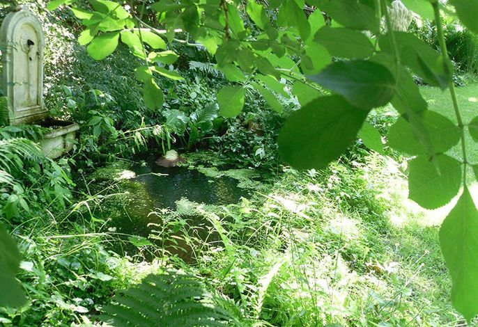 Froschkönig Ferienhaus und Ferienwohnungen (ab 12 J.)