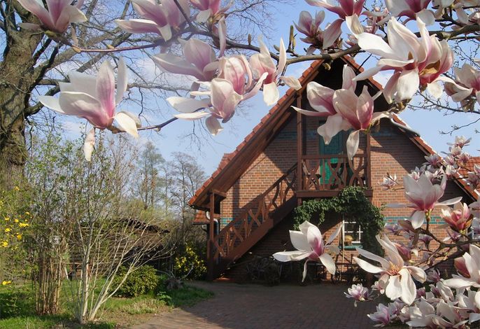 Bild Ferienwohnung Letsch