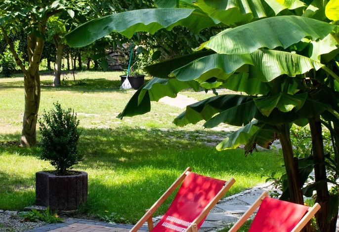 SALUS Spreewald - Erholung & Natur -